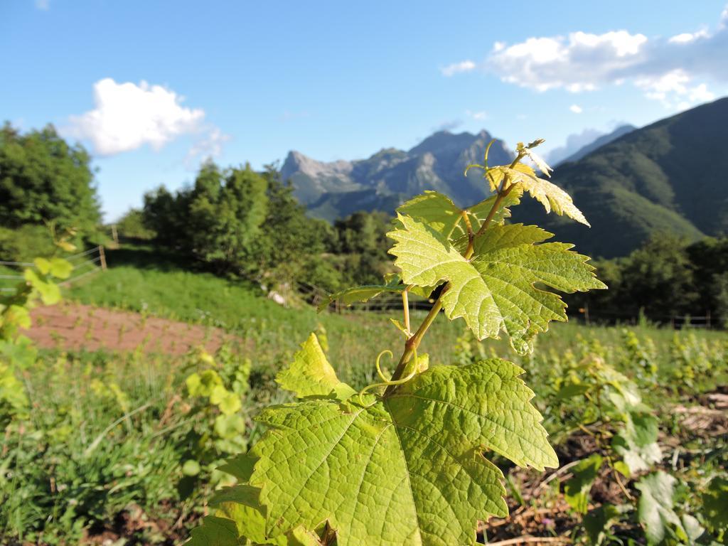 Rifugio Alpi Apuane Otel Careggine Dış mekan fotoğraf