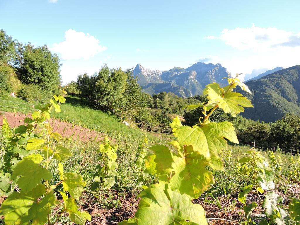 Rifugio Alpi Apuane Otel Careggine Dış mekan fotoğraf